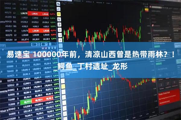 易速宝 100000年前，清凉山西曾是热带雨林？！_鳄鱼_丁村遗址_龙形