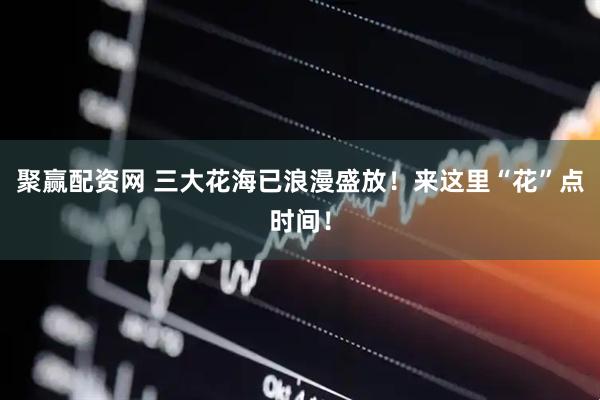 聚赢配资网 三大花海已浪漫盛放！来这里“花”点时间！